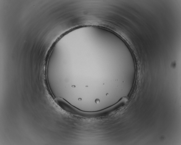 X0000116650992200912291612