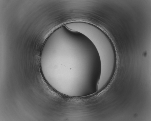 X0000116650993200912291612