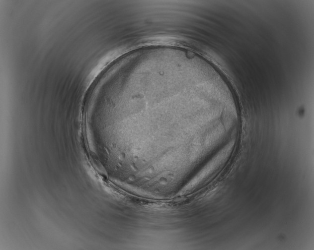 X0000116650994200912291612