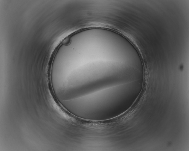 X0000116650995200912291612