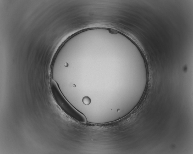 X0000116650996200912291612