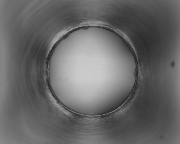 X0000116650997200912291612