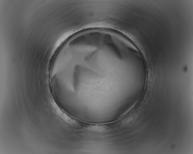 X0000116650998200912291612