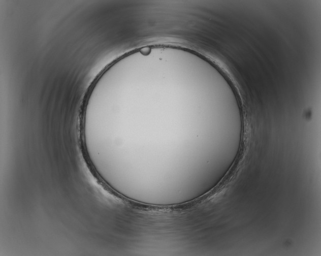 X0000116650999200912291612