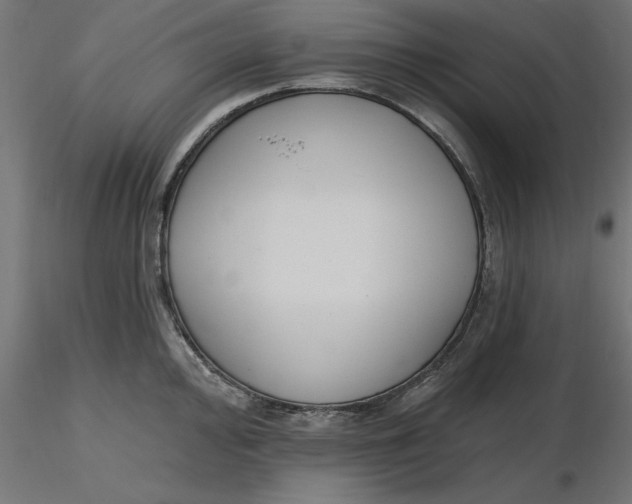 X0000116651000200912291612