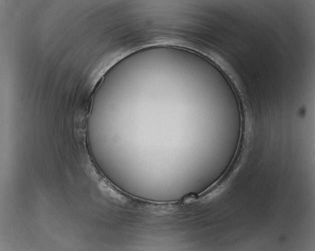 X0000116651001200912291612