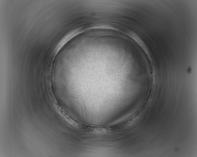 X0000116651002200912291612