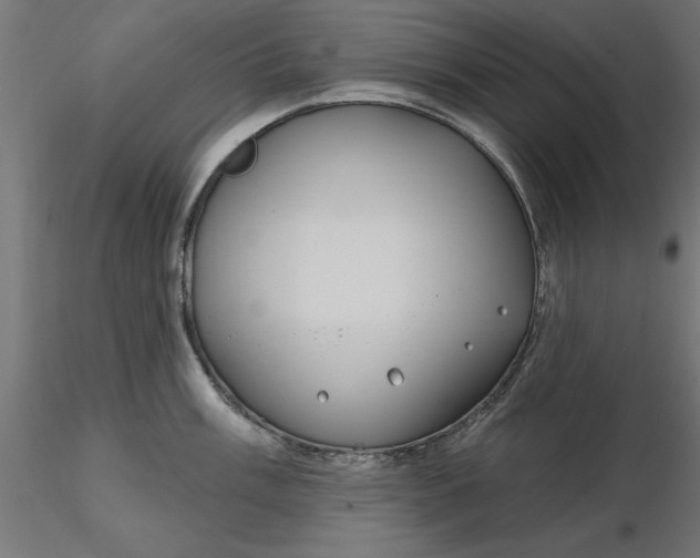 X0000116651003200912291612