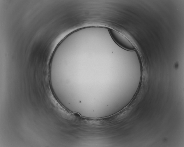 X0000116651004200912291612