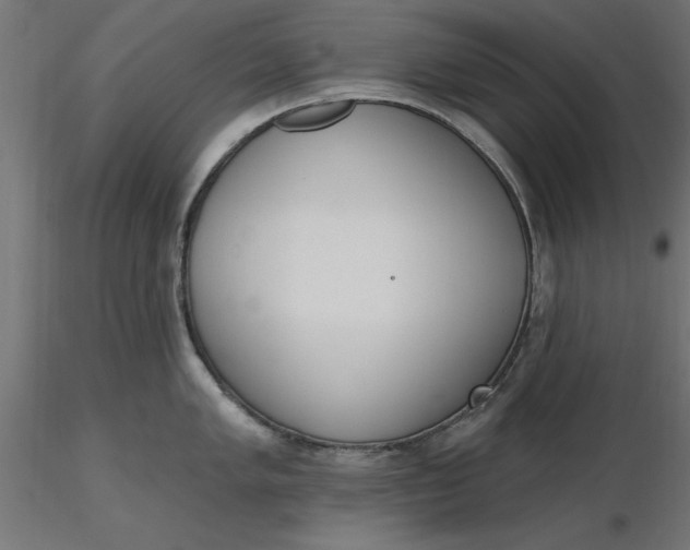 X0000116651005200912291612