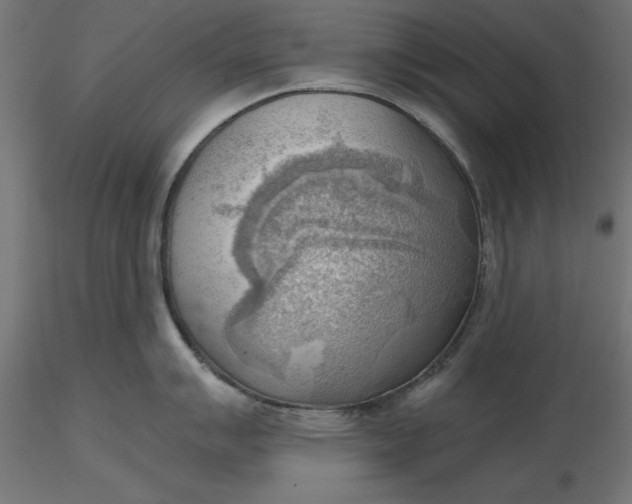 X0000116651007200912291612