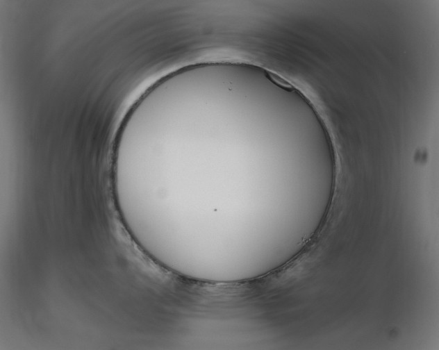 X0000116651008200912291612