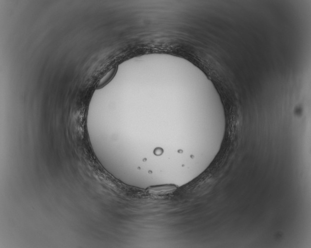 X0000116651010200912291611