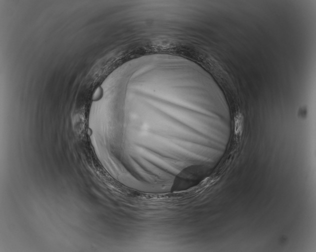 X0000116651011200912291611