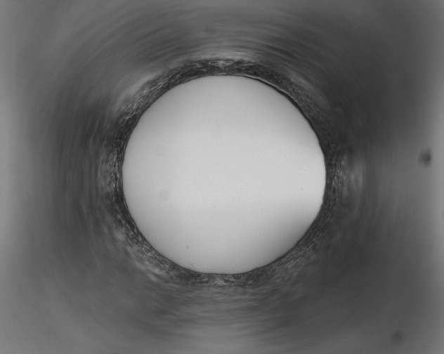 X0000116651014200912291611