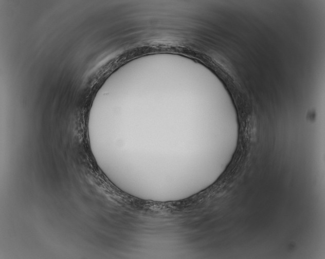 X0000116651015200912291611