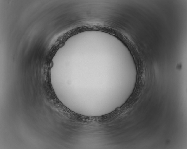 X0000116651016200912291611