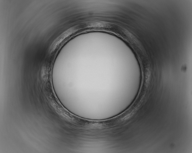 X0000116651017200912291612