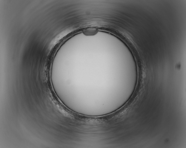 X0000116651018200912291612