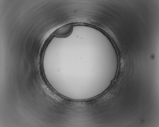 X0000116651020200912291612