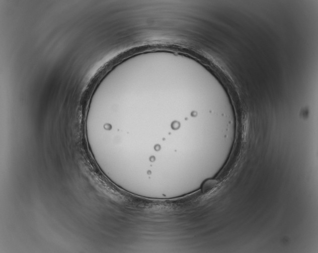 X0000116651021200912291612