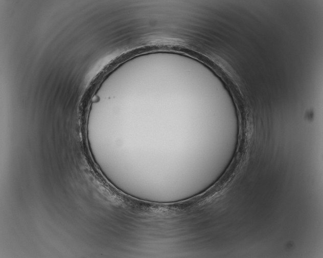 X0000116651022200912291612