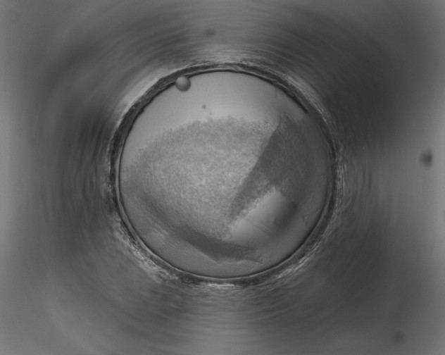 X0000116651023200912291612