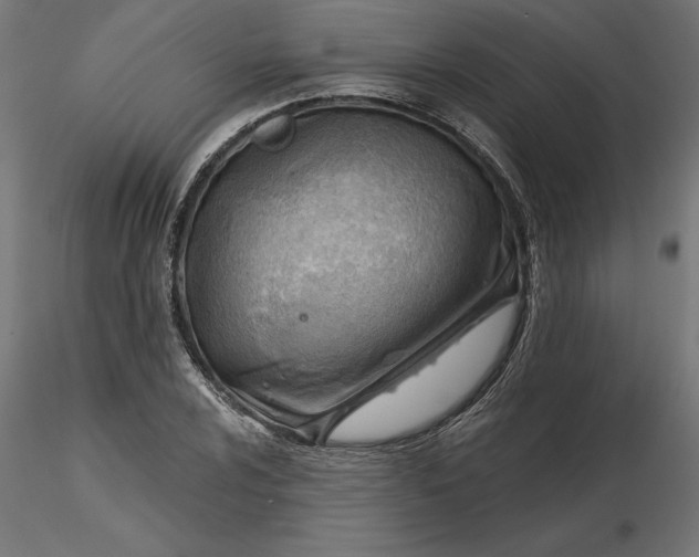 X0000116651024200912291612