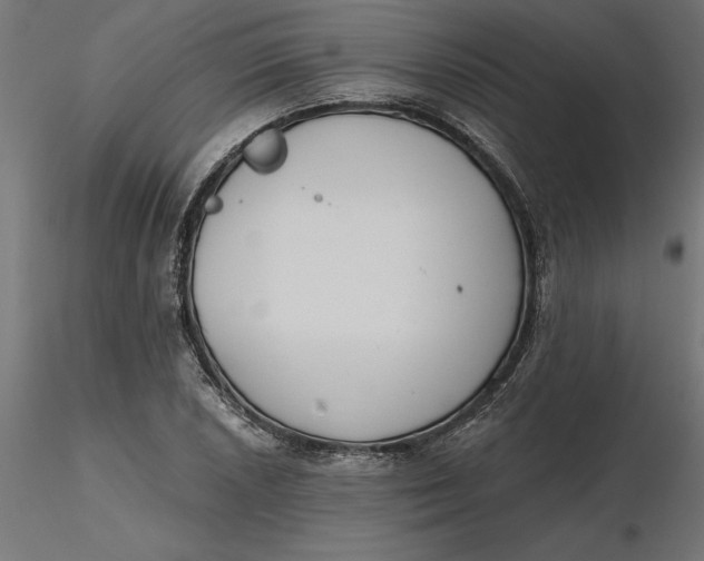 X0000116651026200912291612