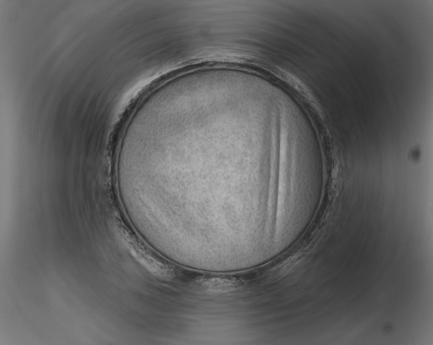 X0000116651027200912291612