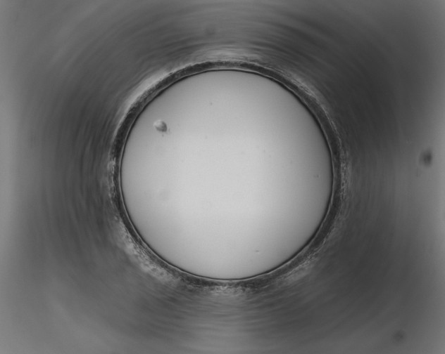 X0000116651029200912291612