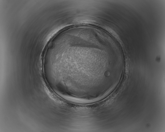 X0000116651031200912291612