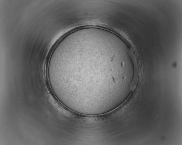 X0000116651032200912291612