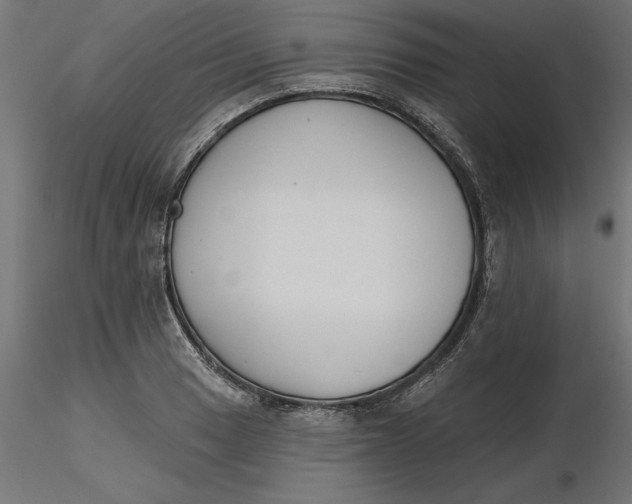 X0000116651033200912291612