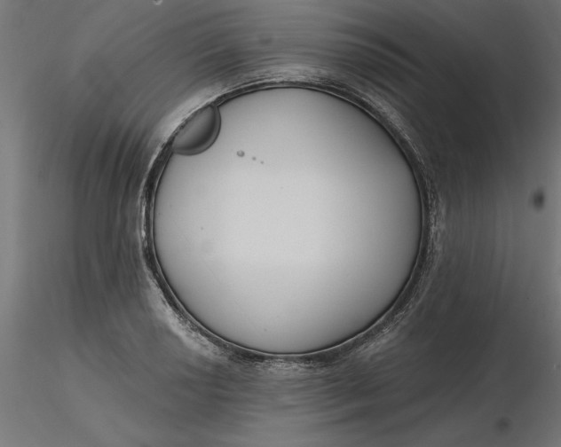 X0000116651034200912291612