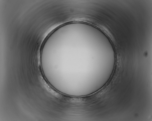 X0000116651036200912291612