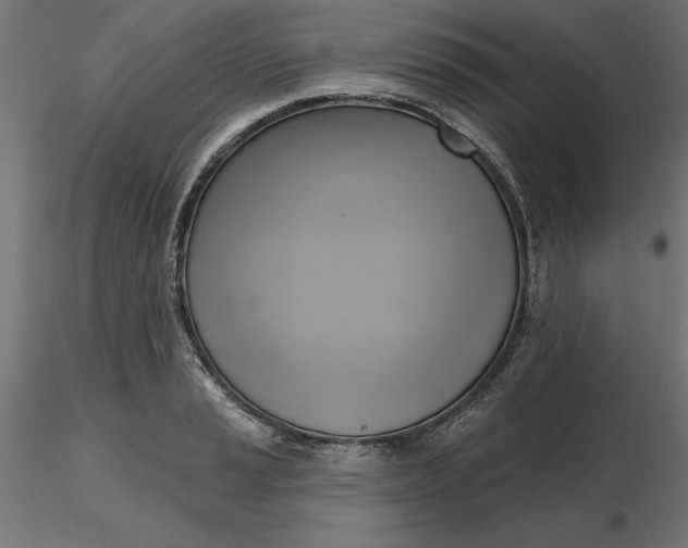 X0000116651037200912291612