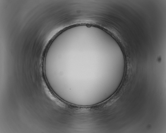 X0000116651038200912291612