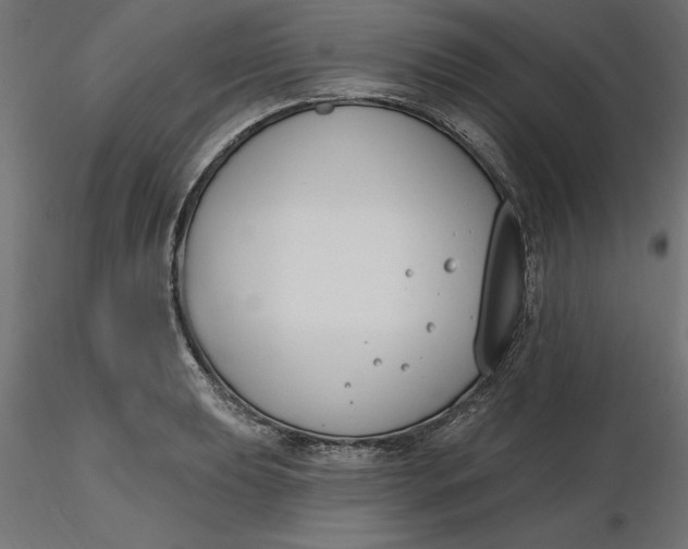 X0000116651039200912291612