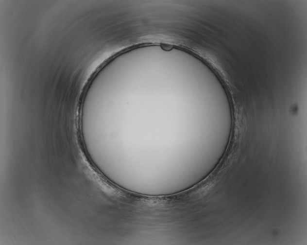 X0000116651040200912291612