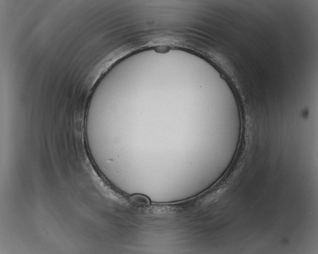 X0000116651041200912291612