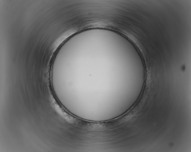 X0000116651042200912291612