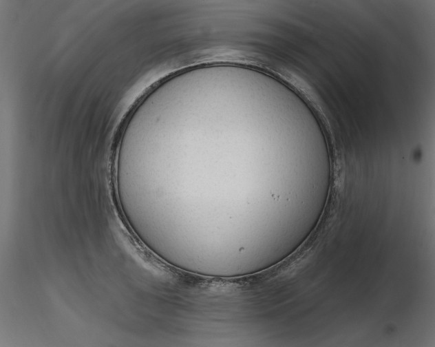 X0000116651043200912291612