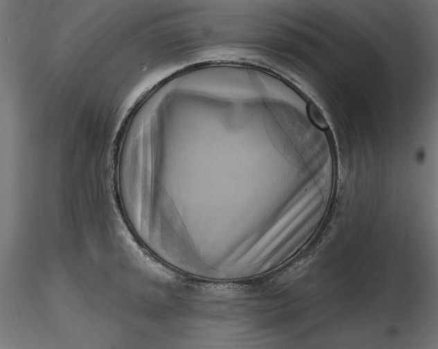 X0000116651045200912291612