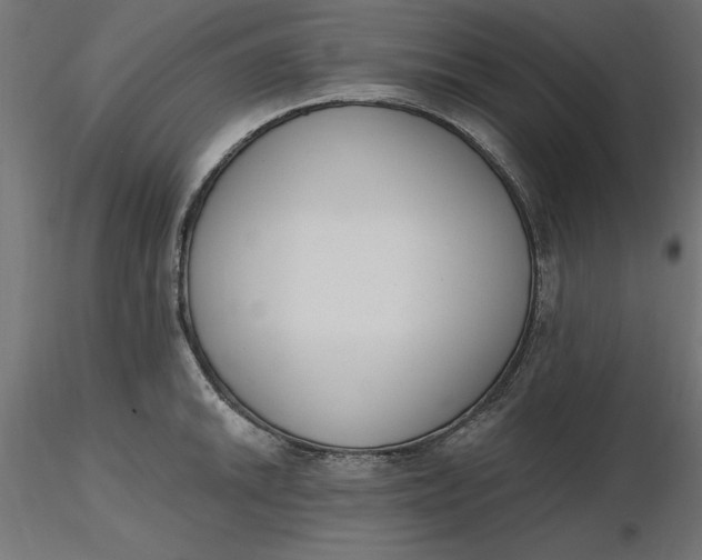 X0000116651046200912291612