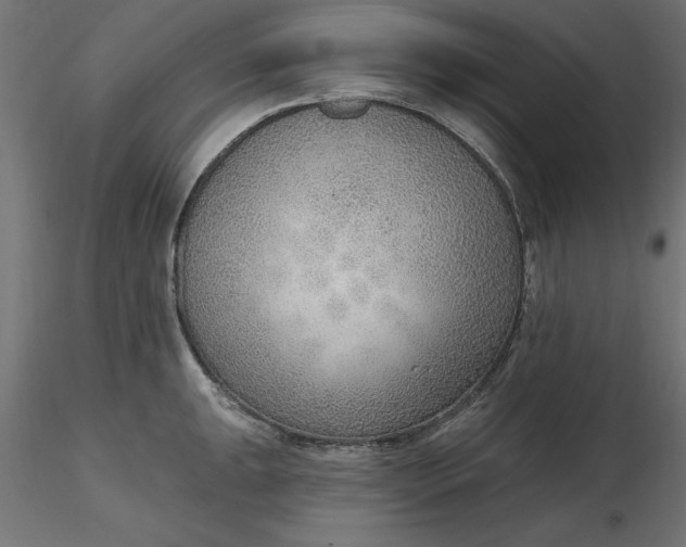 X0000116651047200912291612