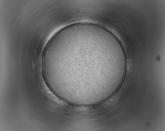 X0000116651048200912291612