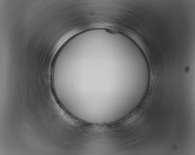 X0000116651050200912291612