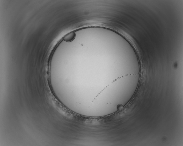 X0000116651051200912291612