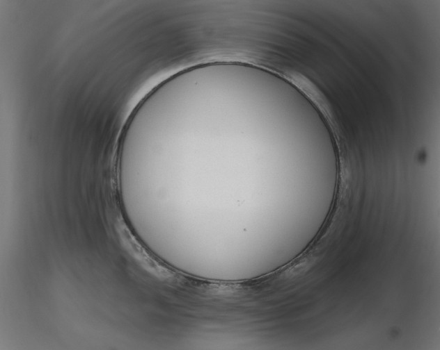 X0000116651052200912291612